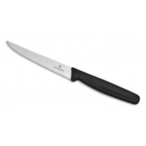 Baariveitsi Victorinox 21-10 cm